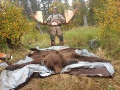 Alaska Moose Brown bear combo