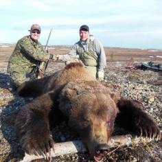 Alaska Brown Bear Hunting 5