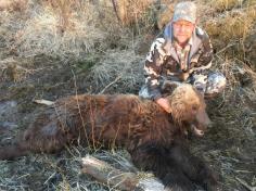 Alaska Brown Bear Hunting 13