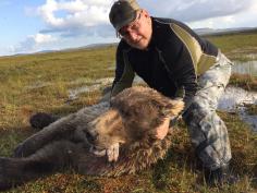 Alaska Brown Bear Hunting 14