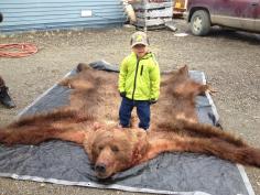 Alaska Brown Bear Hunting 17