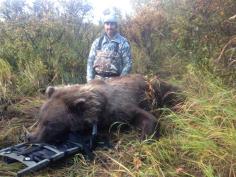 Alaska Brown Bear Hunting 18