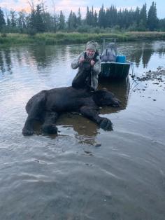 Brown Bear Hunt 0