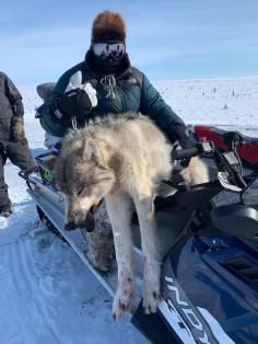 Alaska Hunting 0