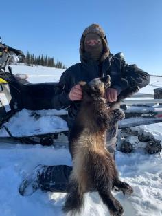 Alaska Hunting 2