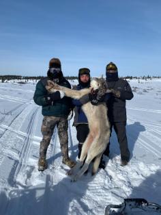 Alaska Hunting 4