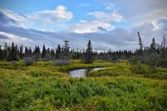 Alaska Hunting 6