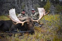 Moose Hunting 0