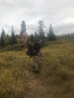 Moose Hunting 7