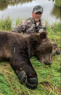 Brown Bear Hunting 8