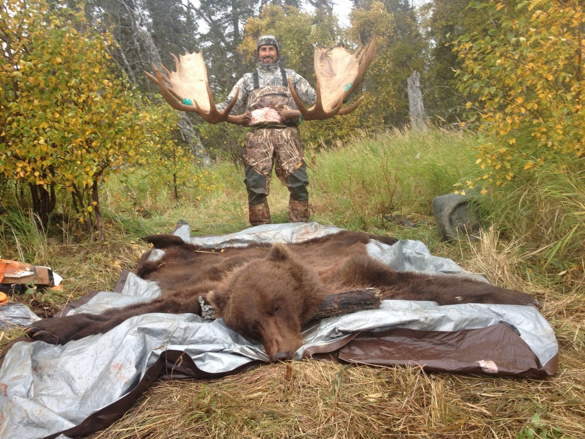 Alaska Brown Bear Hunting 16