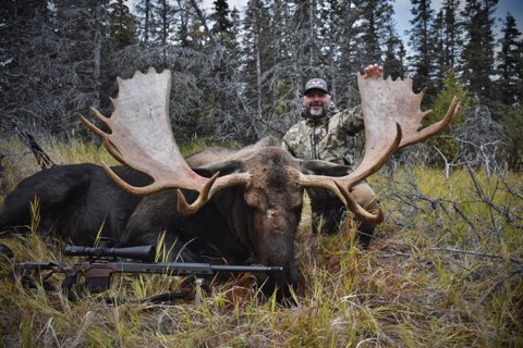 Moose Hunting 2