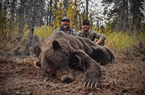 Brown Bear Hunting 2